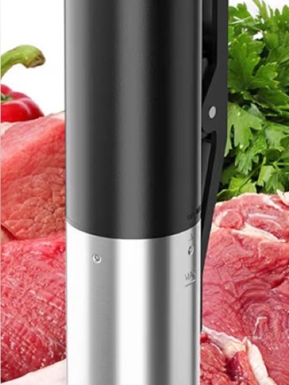 Immersion Circulator Sous Vide Cooker